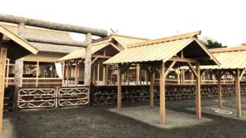 大嘗祭とは？新嘗祭との違い・儀式の内容・折口信夫の「本義」論争まで解説