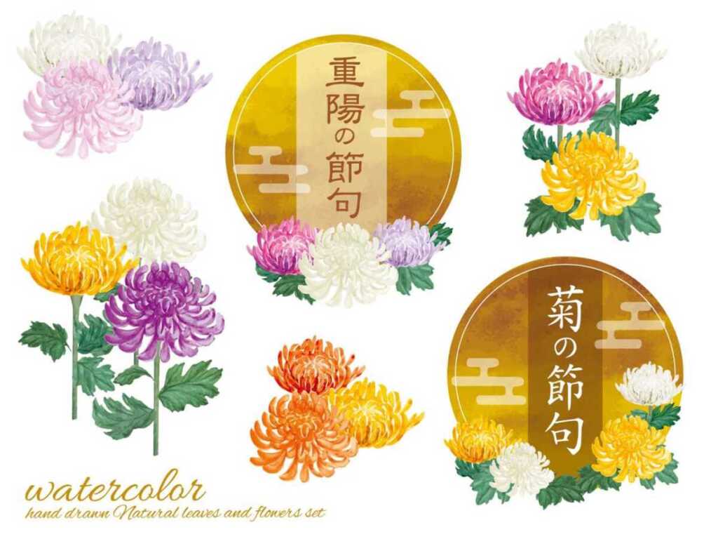 重陽の節句とは？九月九日の意味と由来