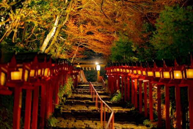 神社に夜参拝してもいい？行ってはいけないと言われる理由と注意点