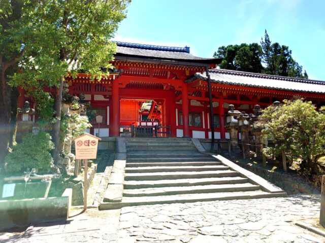 春日大社とは？御祭神の四柱と鹿が神の使いである理由｜藤原氏が各地から神を集めた社